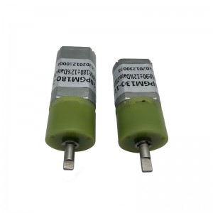 FT-20PGM180 ṣiṣu Planetary jia motor