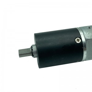 FT-12SGMN30 Motor d'engranatges sinc Mirco 1218