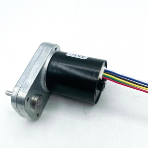 FT-65FGM3640 brushless motor Mirco dc gear motors BLDC motor for Small pump motor