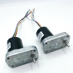 FT-65FGM3640 brushless motor Mirco dc gear motors BLDC motor for Small pump motor