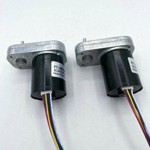 FT-65FGM3640 brushless motor Mirco dc gear motors BLDC motor for Small pump motor