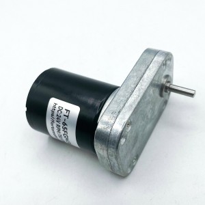 FT-65FGM3640 brushless motor Mirco dc gear motors BLDC motor for Small pump motor