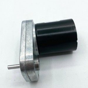 FT-65FGM3640 brushless motor Mirco dc gear motors BLDC motor for Small pump motor