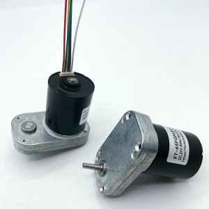 FT-65FGM3640 brushless motor Mirco dc gear motors BLDC motor for Small pump motor