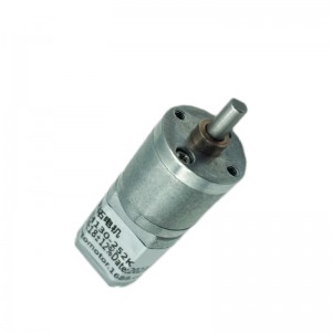 Ft-20rgm130 20mm Dc motor s čelnim zupčanikom