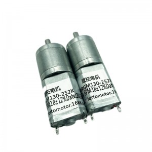 Ft-20rgm130 20mm Dc Spur Apparatus Motor