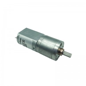 Γραναζωτός κινητήρας Ft-20rgm130 20mm Dc Spur