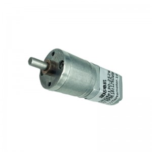 Ft-20rgm130 20mm Dc Spur Gear Motor