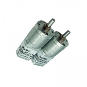 Ft-20rgm130 20mm Dc Spur växelmotor