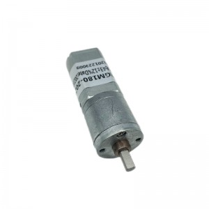 FT-20RGM180 DC gearmotor