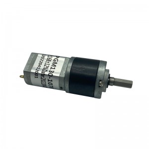 FT-22PGM130 Planet dişli mühərriki Dc Motor Xüsusiləşdirilmiş Elektrikli DC Ötürücü Motor