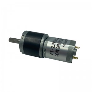 FT-22PGM130 Motor planetnega gonila Dc Motor Prilagojen električni DC Gear Motor