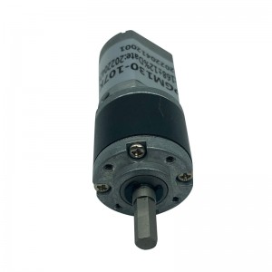 FT-22PGM130 Planet dişli motor Dc Motor Özelleştirilmiş Elektrikli Dc Dişli Motor