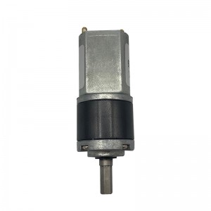 FT-22PGM130 ʻO ke kaʻa hoʻokele honua Dc Motor Customized Electric Dc Gear Motor