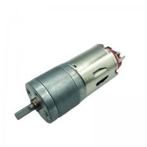 FT-25RGM Spur gearmotor nke nwere ike dochie moto ahịhịa carbon