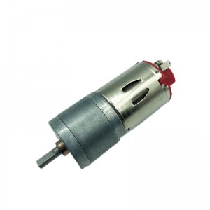 FT-25RGM Spur gearmotor Mapuli nga carbon brush motor