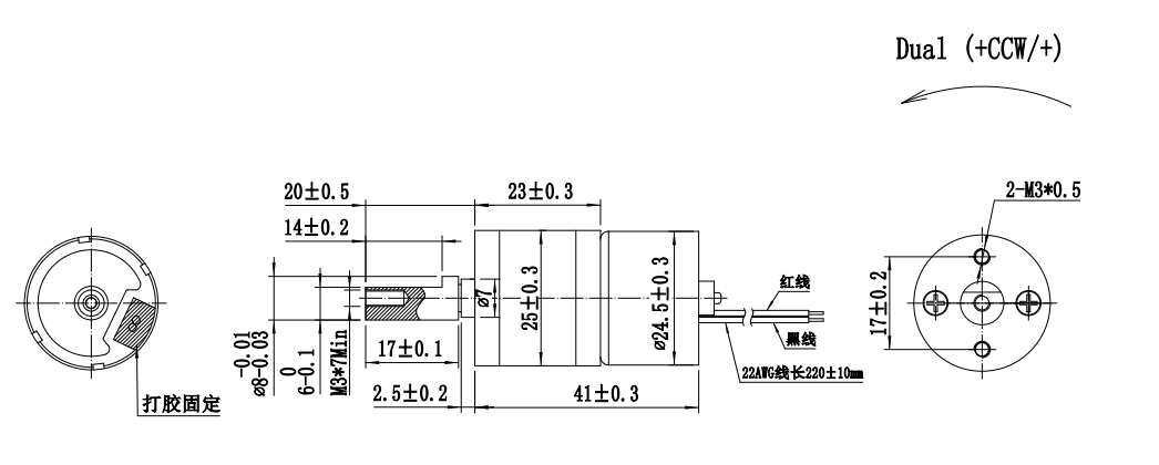 FT-25RGM2418 miniatur 25mm gearbox2