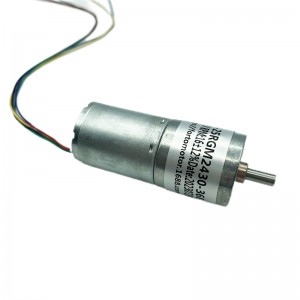 FT-25RGM2430 Spur gear motor brushless motor