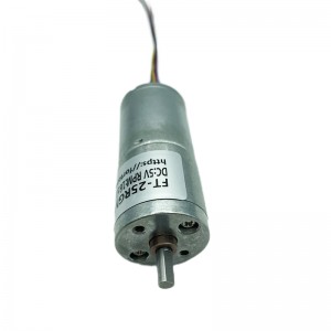 Motor sen escobillas FT-25RGM2430