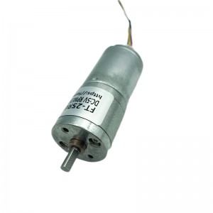 FT-25RGM2430 Spur gear motor brushless motor