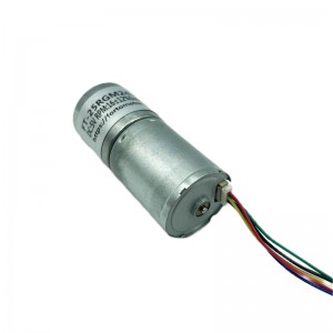 FT-25RGM2430 Motor sin escobillas con engranaje recto