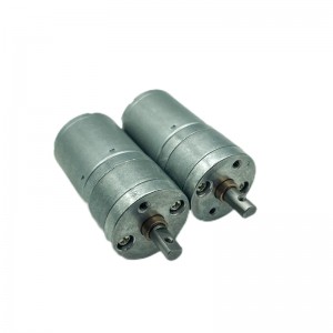 FT-25RGM350 Çift rrotullues i lartë Zhurmë e ulët me diametër 25 mm kuti mikro me ingranazhe Spur Gear Motors