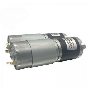 FT-36PGM545 36mm planetaresch Gangmotor