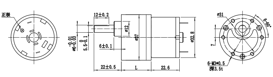 FT-37RGM520 12V 24v dc motor