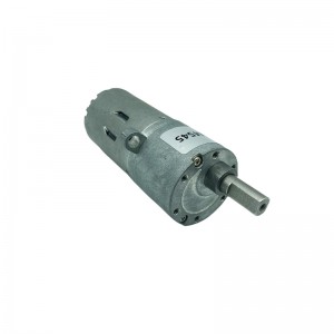 FT-37RGM545 Round Spur gear motor with gear reduction