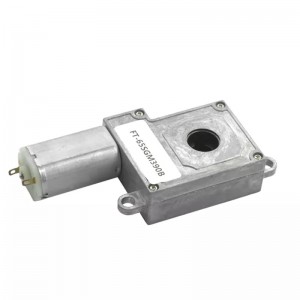 FT-65SGM390 DC worm motor for Intelligent door lock motor