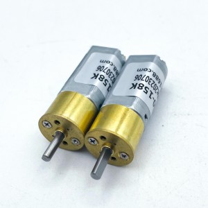 FT-16RGM050 3v 6v 12v 24v 16mm dc ratmotors ratkasmotor