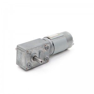 FT-46SGM395 46mm worm geared motor with dual shaft