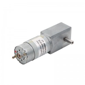 FT-46SGM395 46mm worm geared motor with dual shaft