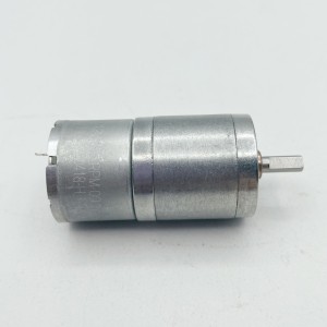 FT-25RGM310 25mm motor s čelním ozubeným kolem malý stejnosměrný redukční motor s převodovkou