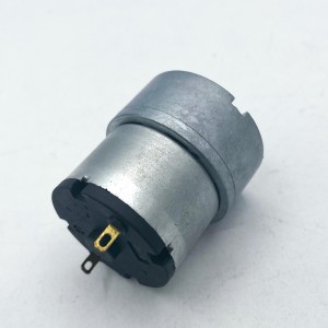 FT-37RGM520 12V 24V DC Gearmotor 37mm Gearmotoren 520 Borstemotor