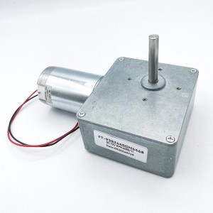 FT-9382SGM4468 High torque DC gear motor for wheel Alignment application