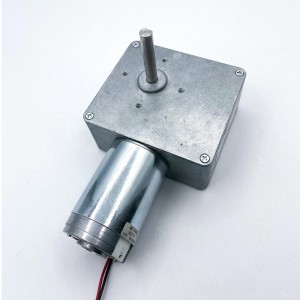 FT-9382SGM4468 High torque DC gear motor for wheel Alignment application